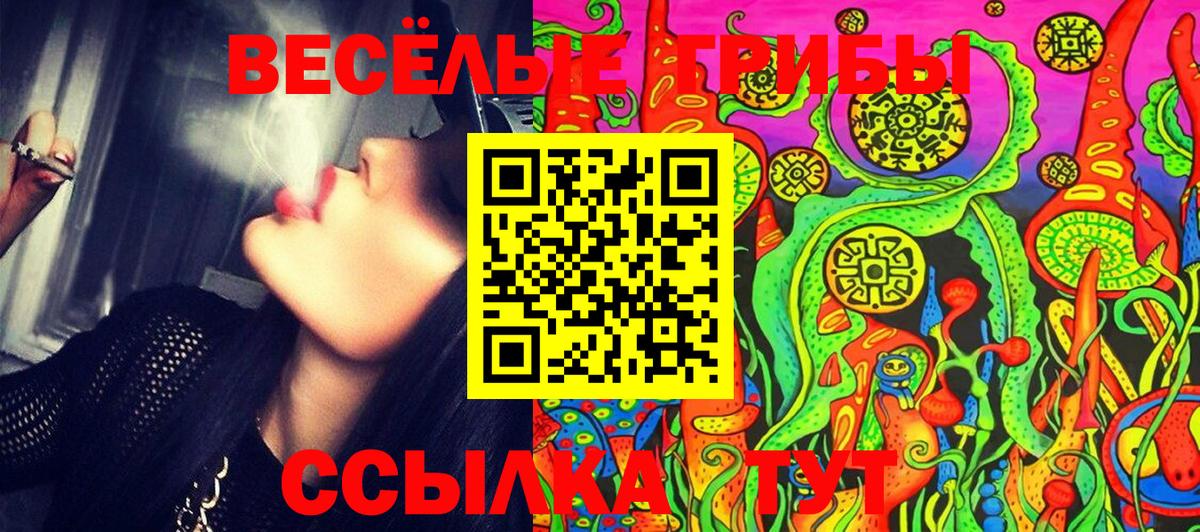 Галлюциногенные грибы Cubensis Рубцовск