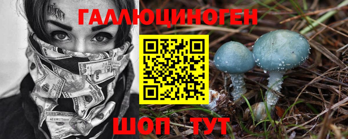 Рубцовск  Галлюциногенные грибы GOLDEN TEACHER  Вход с VPN 