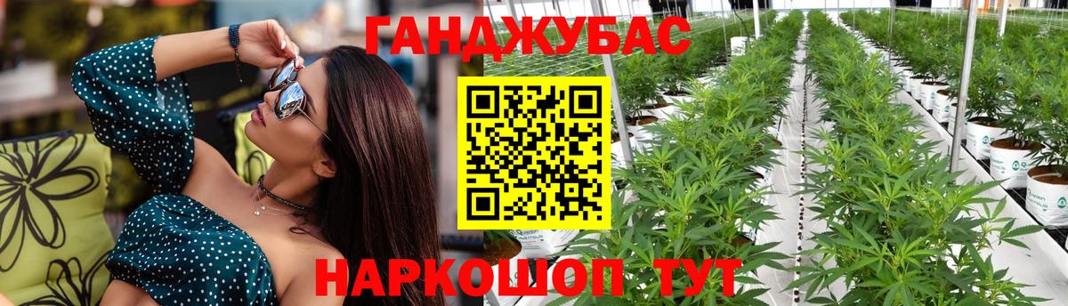 Марихуана VHQ  Бошки марихуана ГИДРОПОН  Каннабис SATIVA & INDICA  Вход с VPN  Рубцовск 